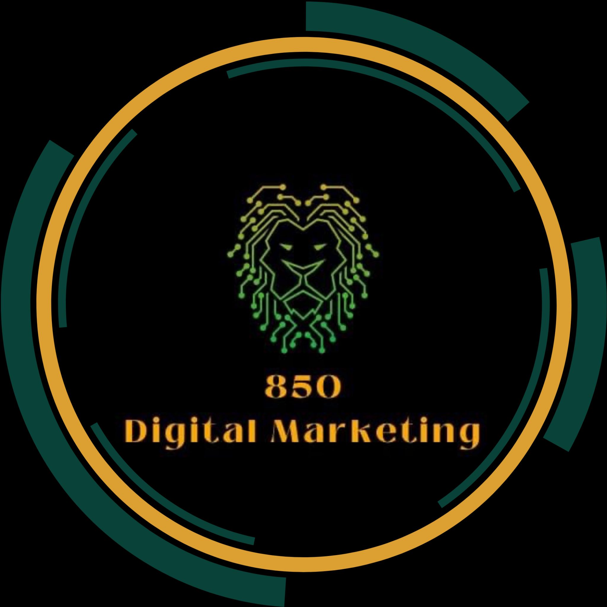 850 Digital Marketing in Steinhatchee, FL (2)