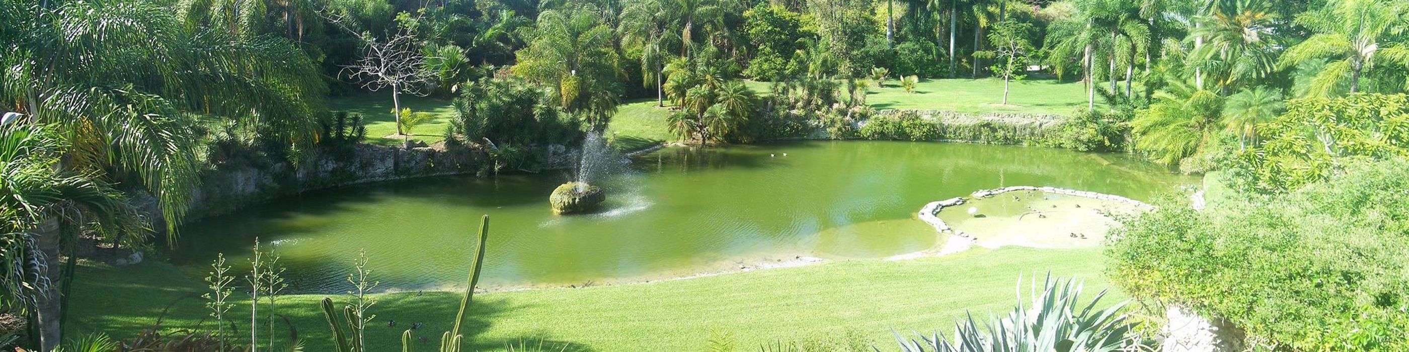 Properties of Miami in Miami, FL