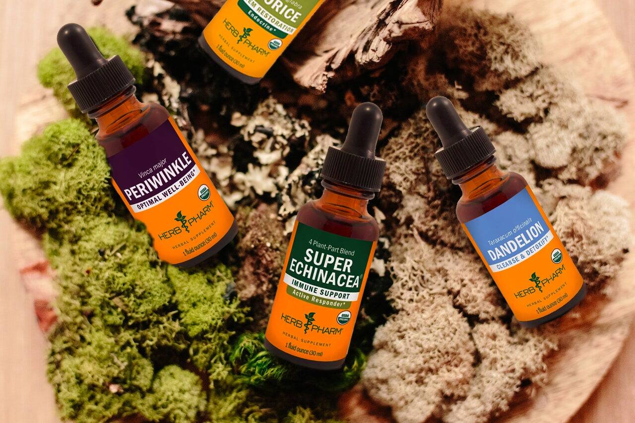 S&S Smoothies and Supplements in Blairsville, GA (5)