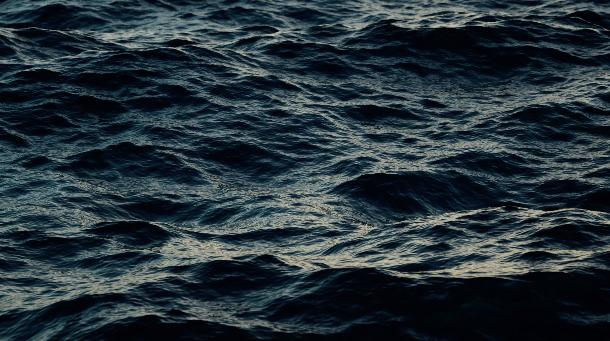 Seven Seas Bar and Grill Vista in Vista, CA (2)
