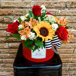 Rose Soiree in Crp Christi, TX (2)