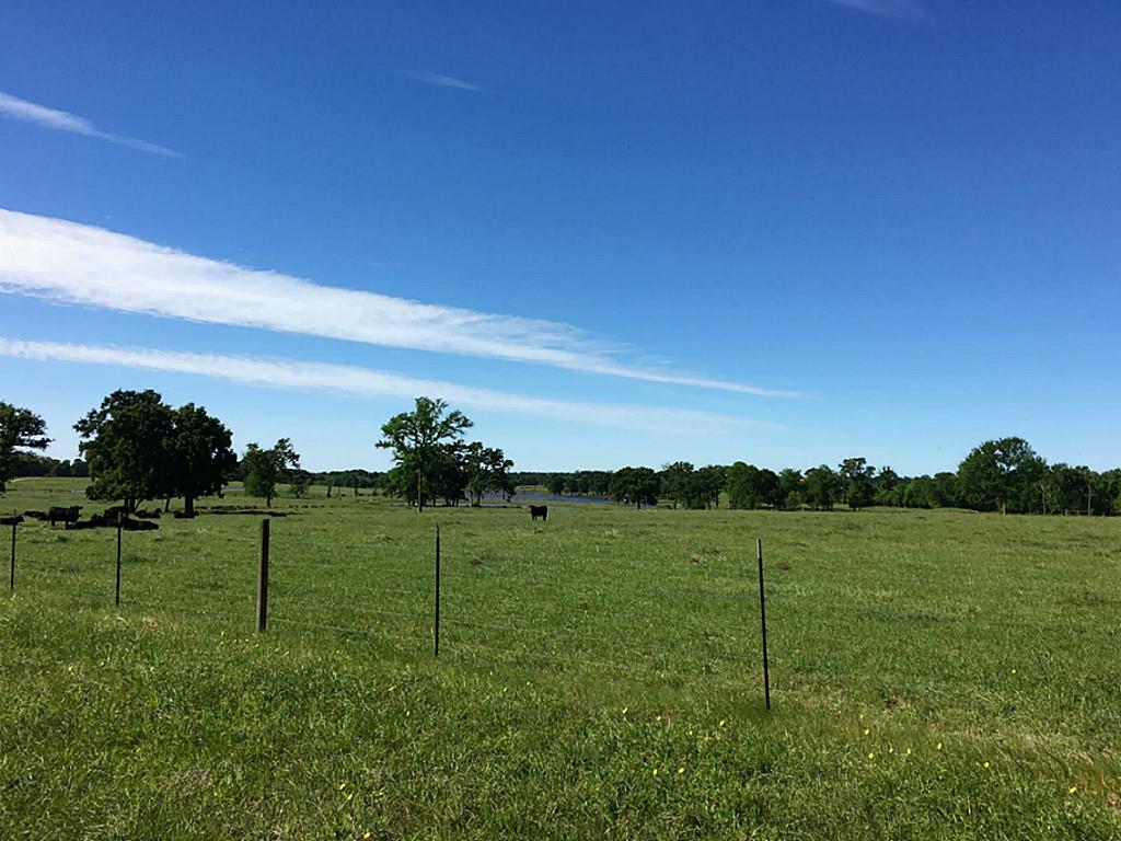 Melder Real Estate in Groveton, TX (5)
