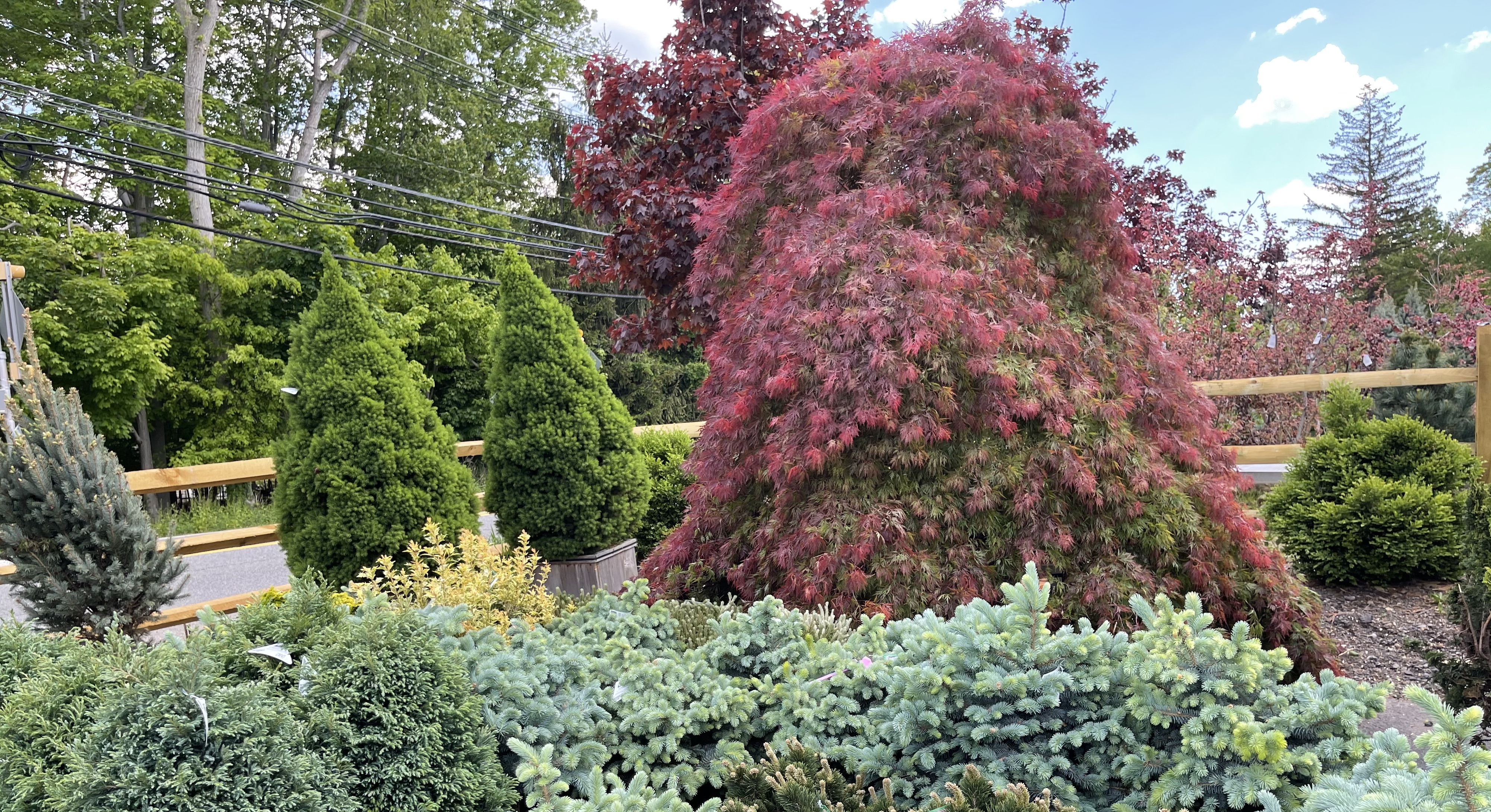Twinbrook Farms in Franklin Lakes, NJ