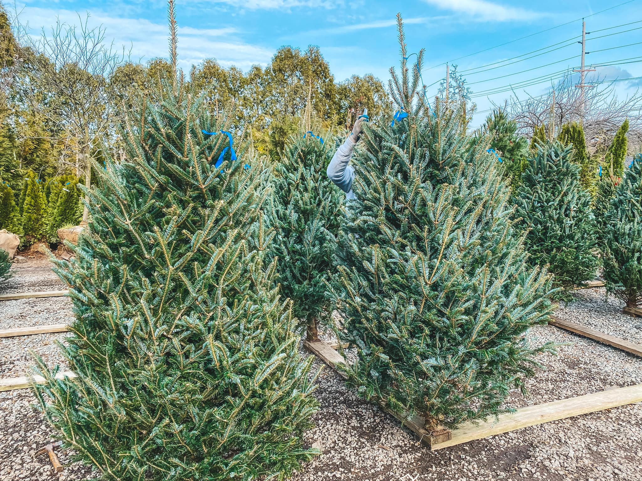 Twinbrook Farms in Franklin Lakes, NJ (3)