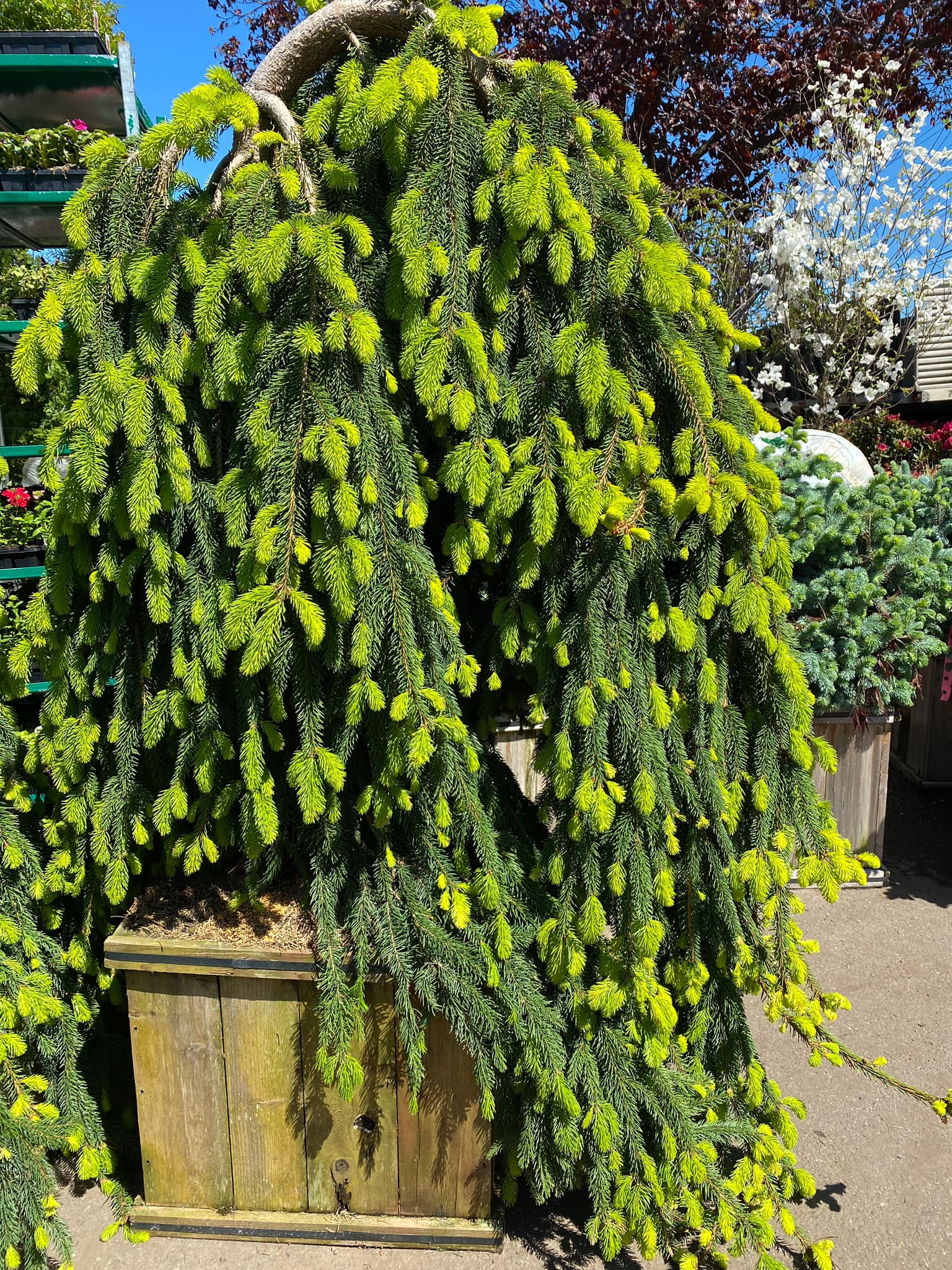 Twinbrook Farms in Franklin Lakes, NJ (4)