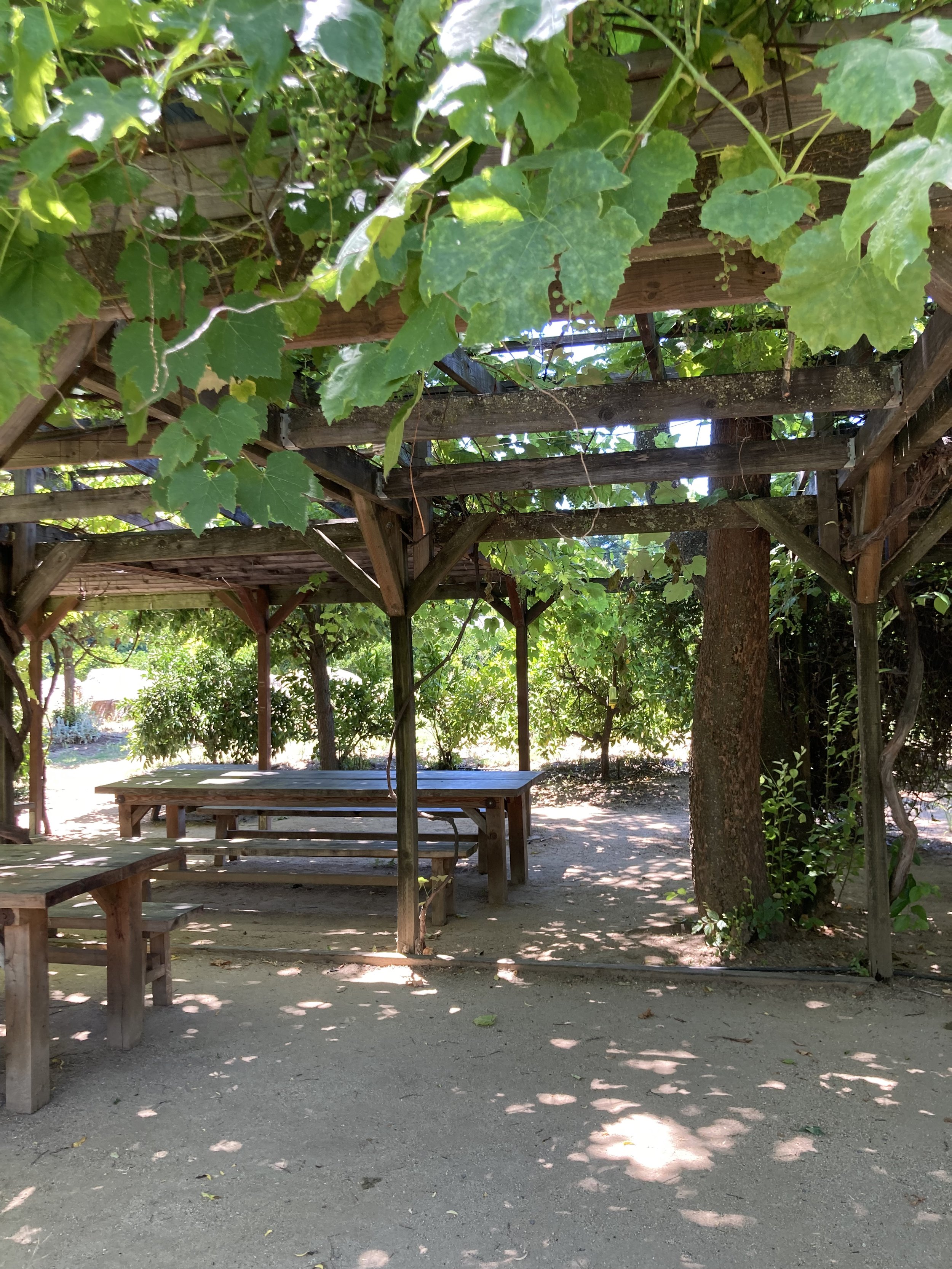 Flower Farm Cafe in Loomis, CA (4)