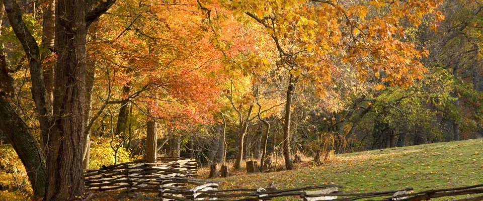 Stephen L. Lucas CPA PA in Highlands, NC (2)