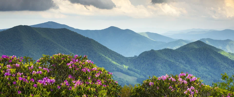 Stephen L. Lucas CPA PA in Highlands, NC (5)