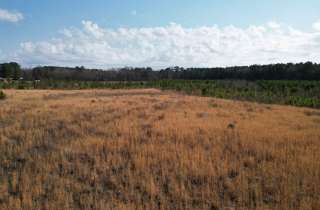 NC Land Company in Kinston, NC (4)