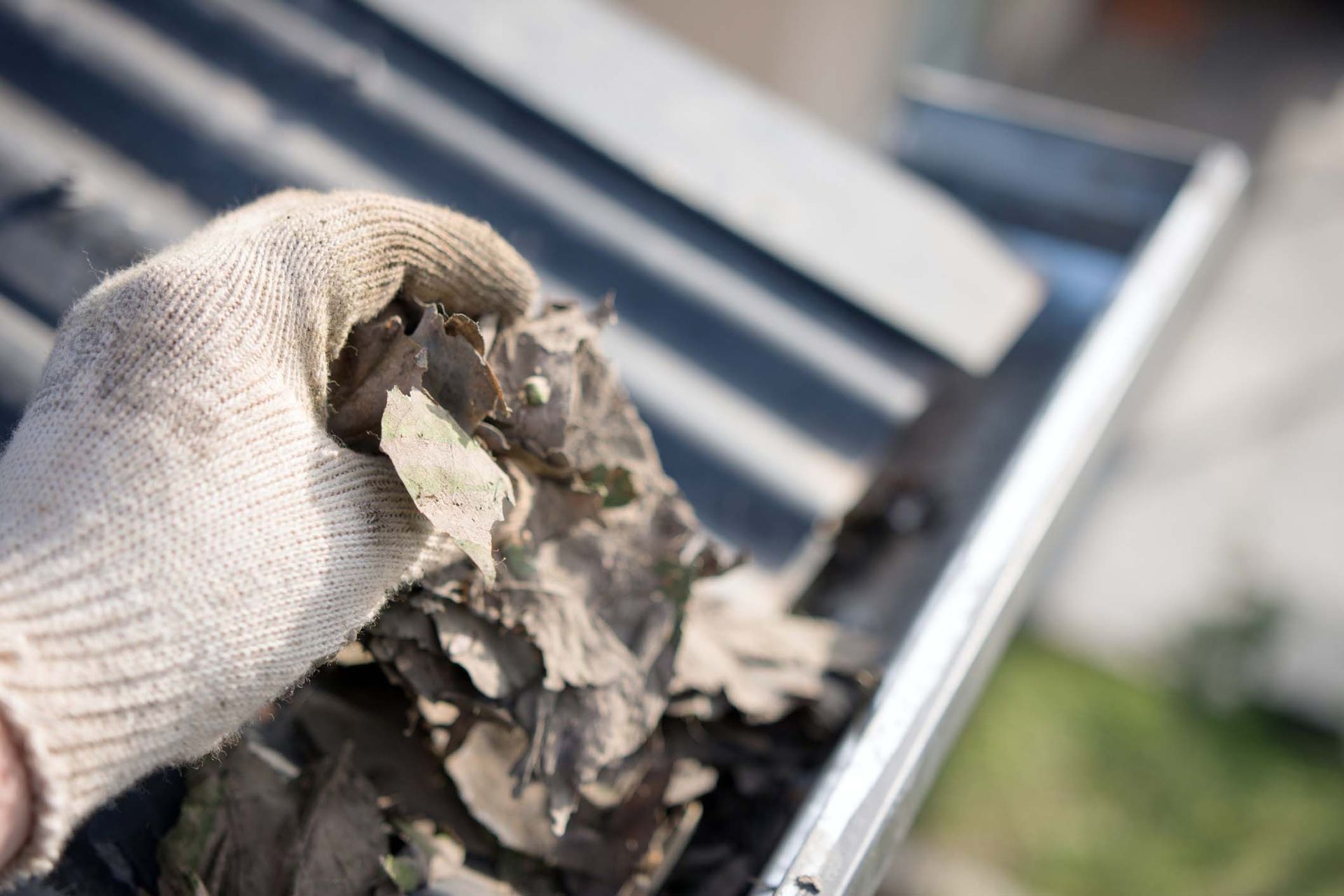 Sanchez Home Cleaning Services LLC in Fullerton, CA (3)