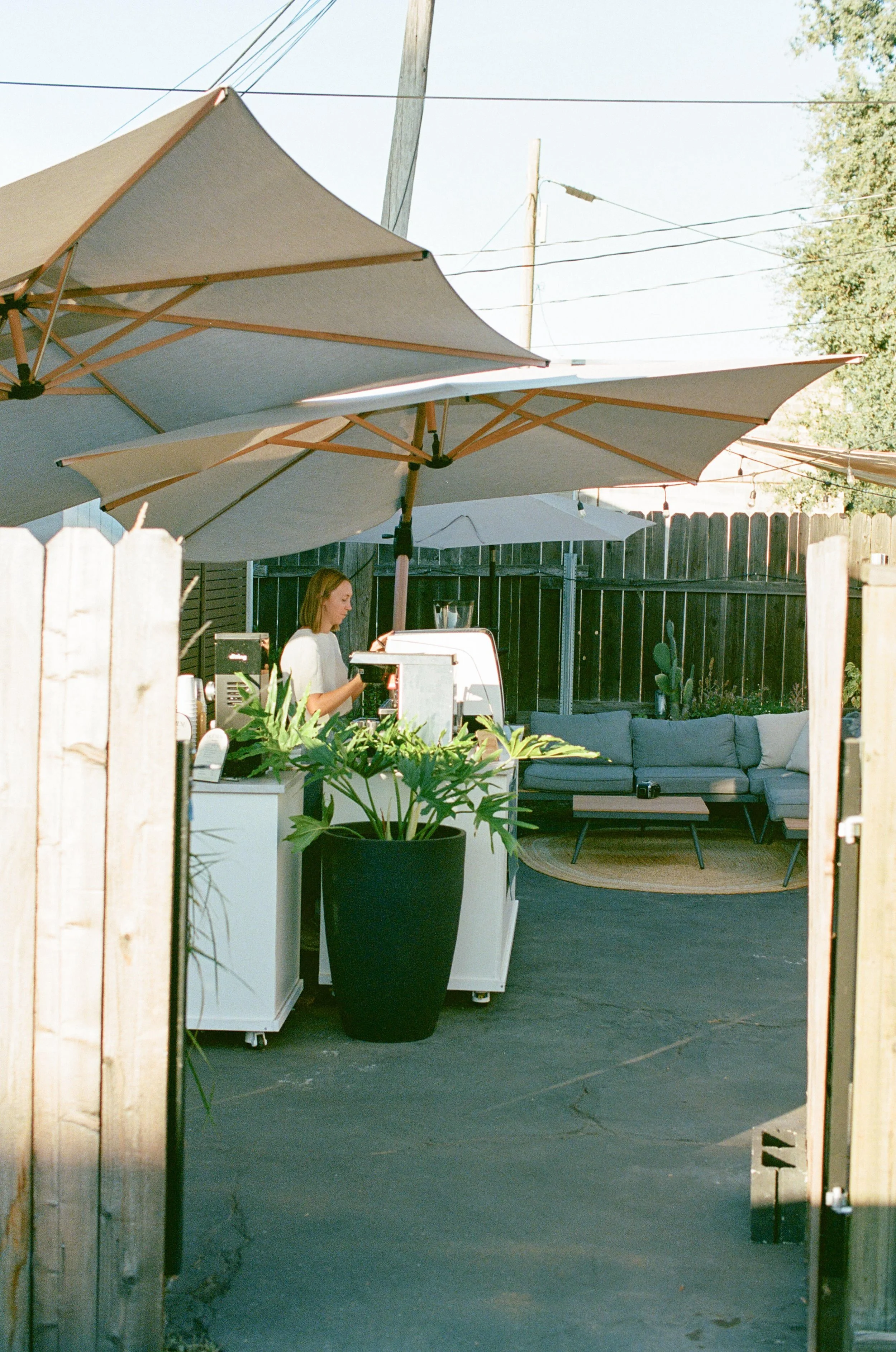 Hidden Coffee Bar in Auburn, CA (3)