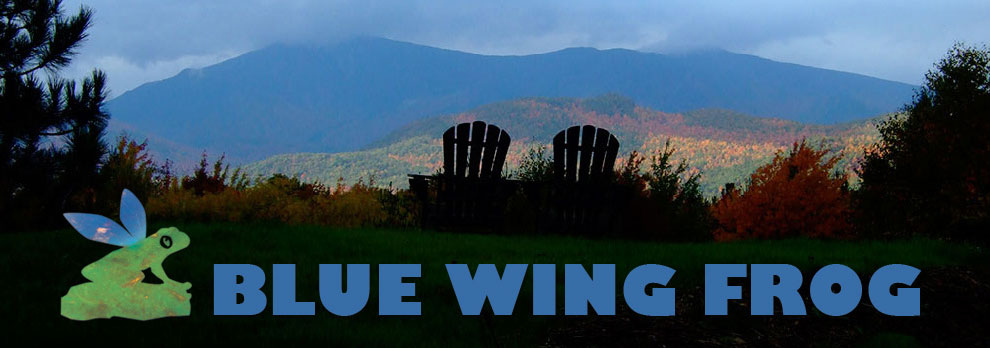 Blue Wing Frog in Strasburg, VA