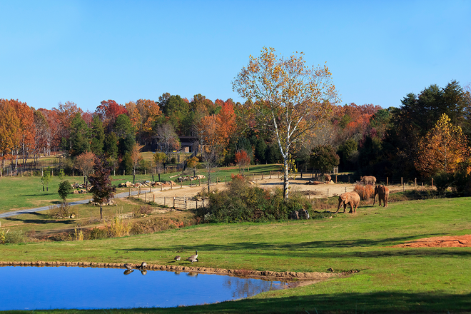Brandon & Clair Barbour, REALTORS® | Barbour & Company Real Estate in Burlington, NC (5)