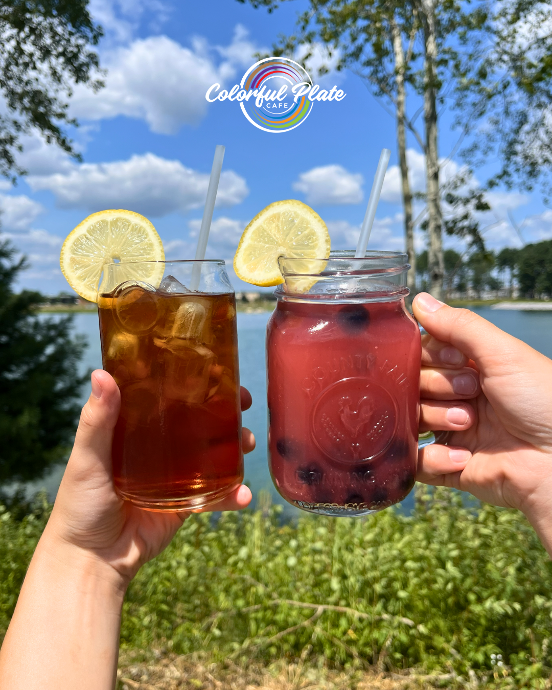 Colorful Plate Café in Plover, WI (4)