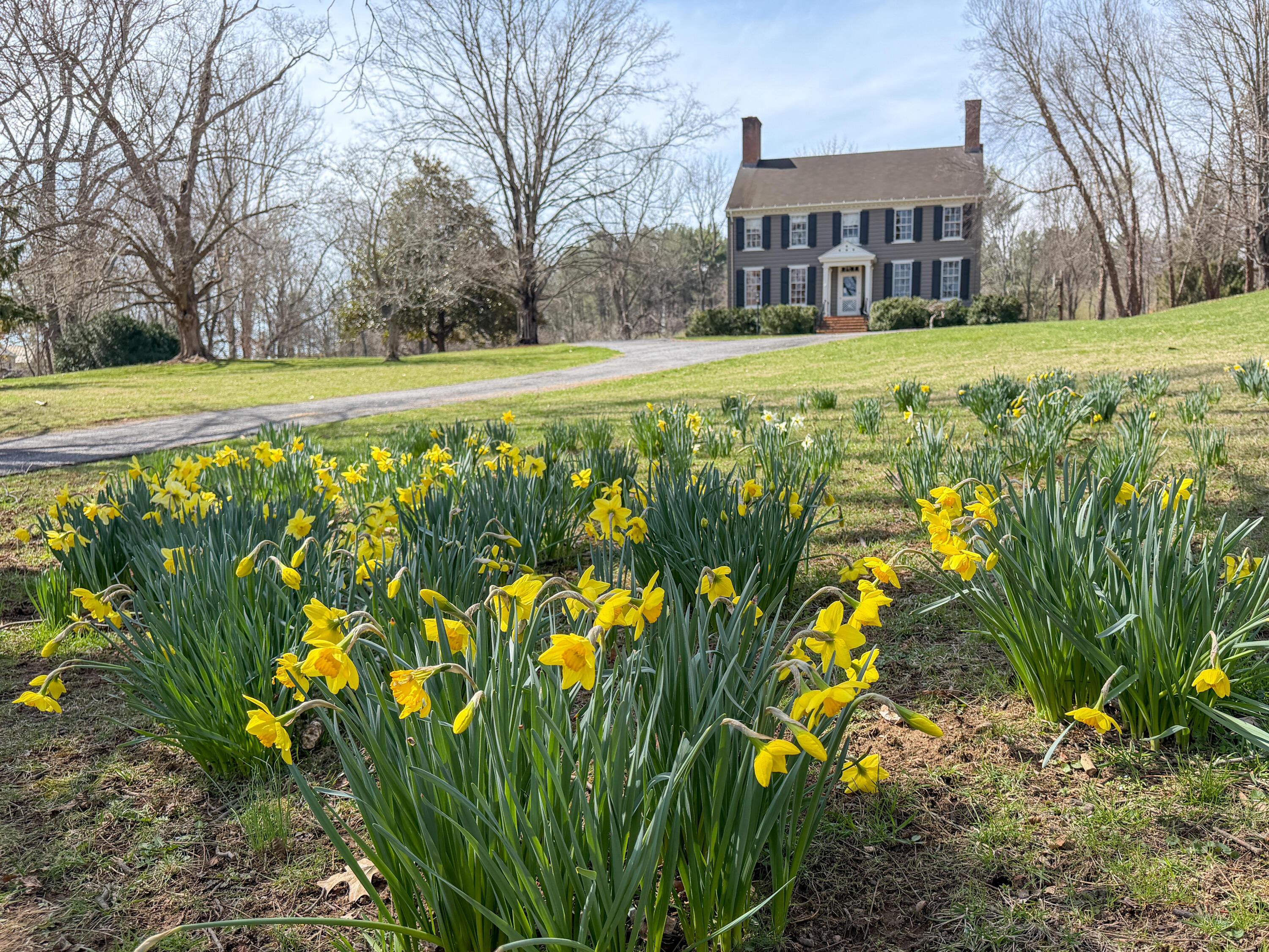 Mary Beth Harris in Lexington, VA (2)