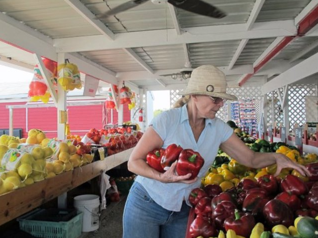 Farmer Mike's U-Pick of Bonita Springs in Bonita Springs, FL (6)