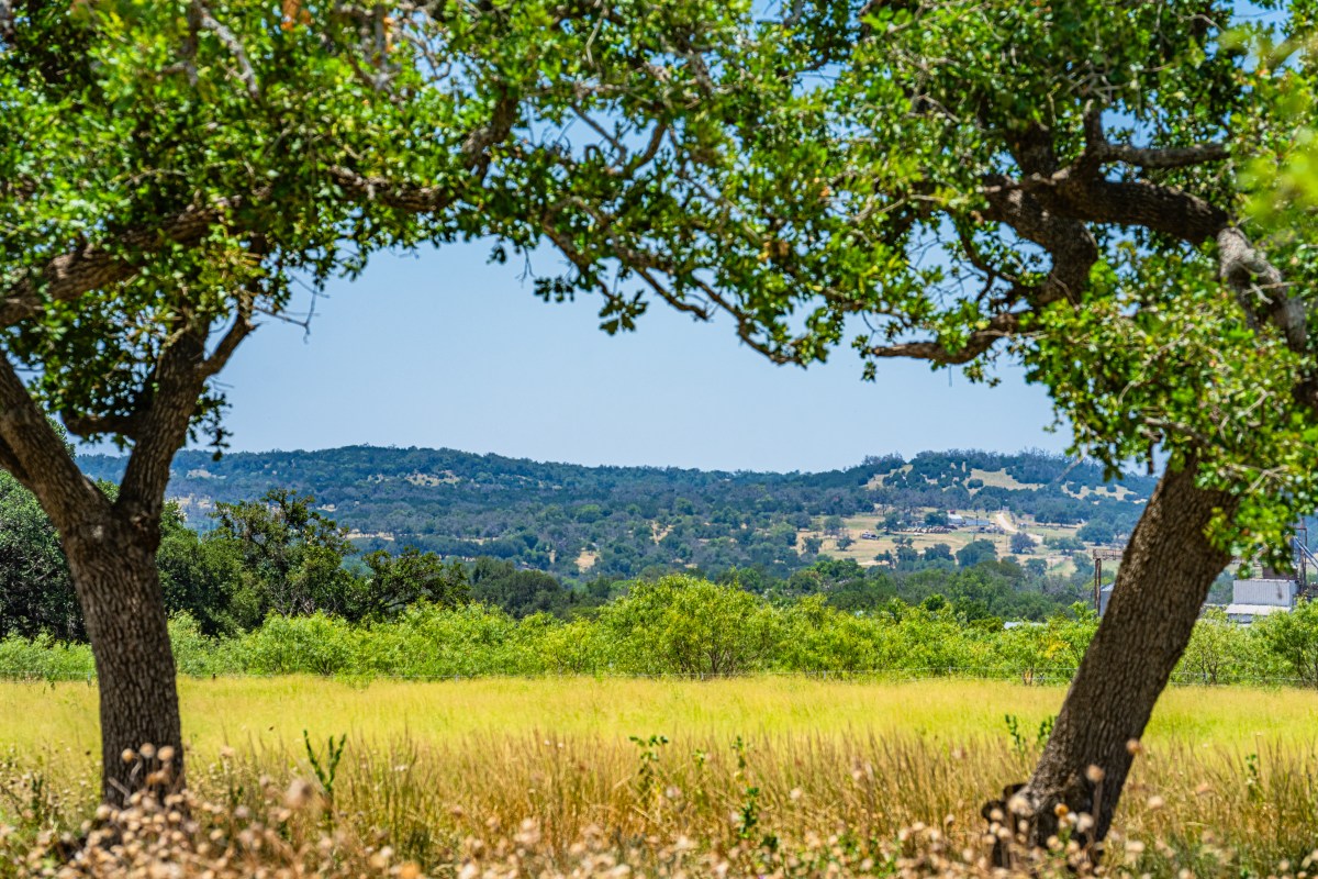 Liza Smith Real Estate Agent in Fredericksburg, TX