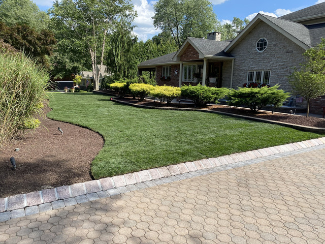 Black Bear Tree Services in Paramus, NJ (4)