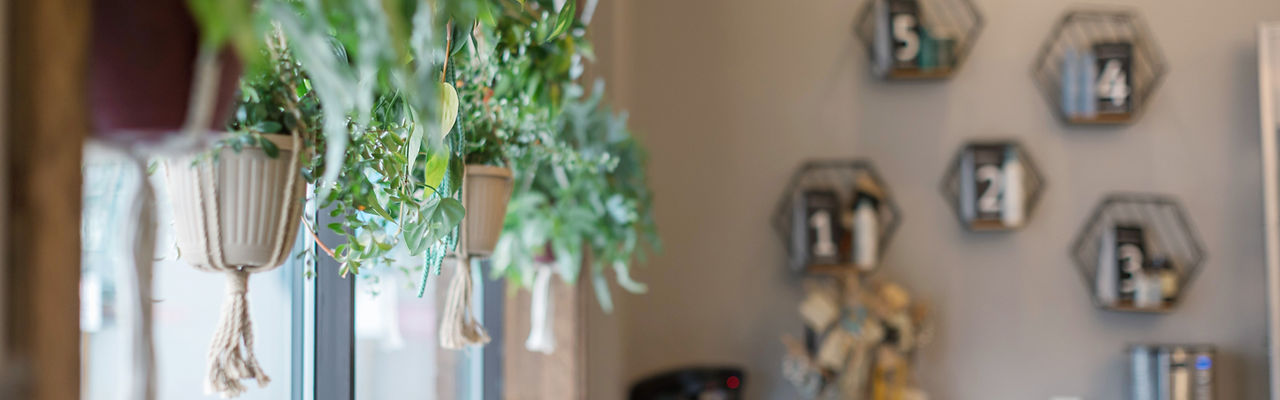 The Audubon - An Aveda Salon in Wauwatosa, WI (3)
