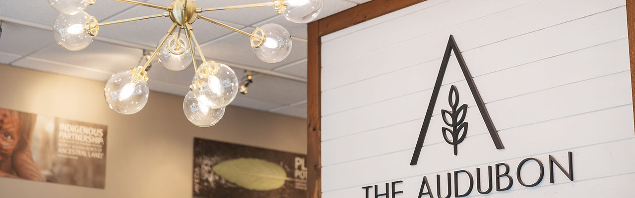 The Audubon - An Aveda Salon in Wauwatosa, WI (4)