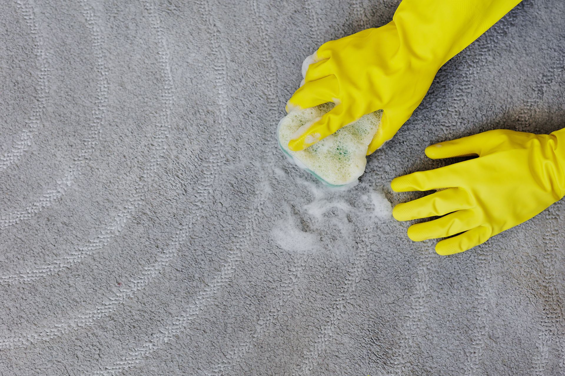 Newark Cleaning Services LLC in Newark, NJ (4)