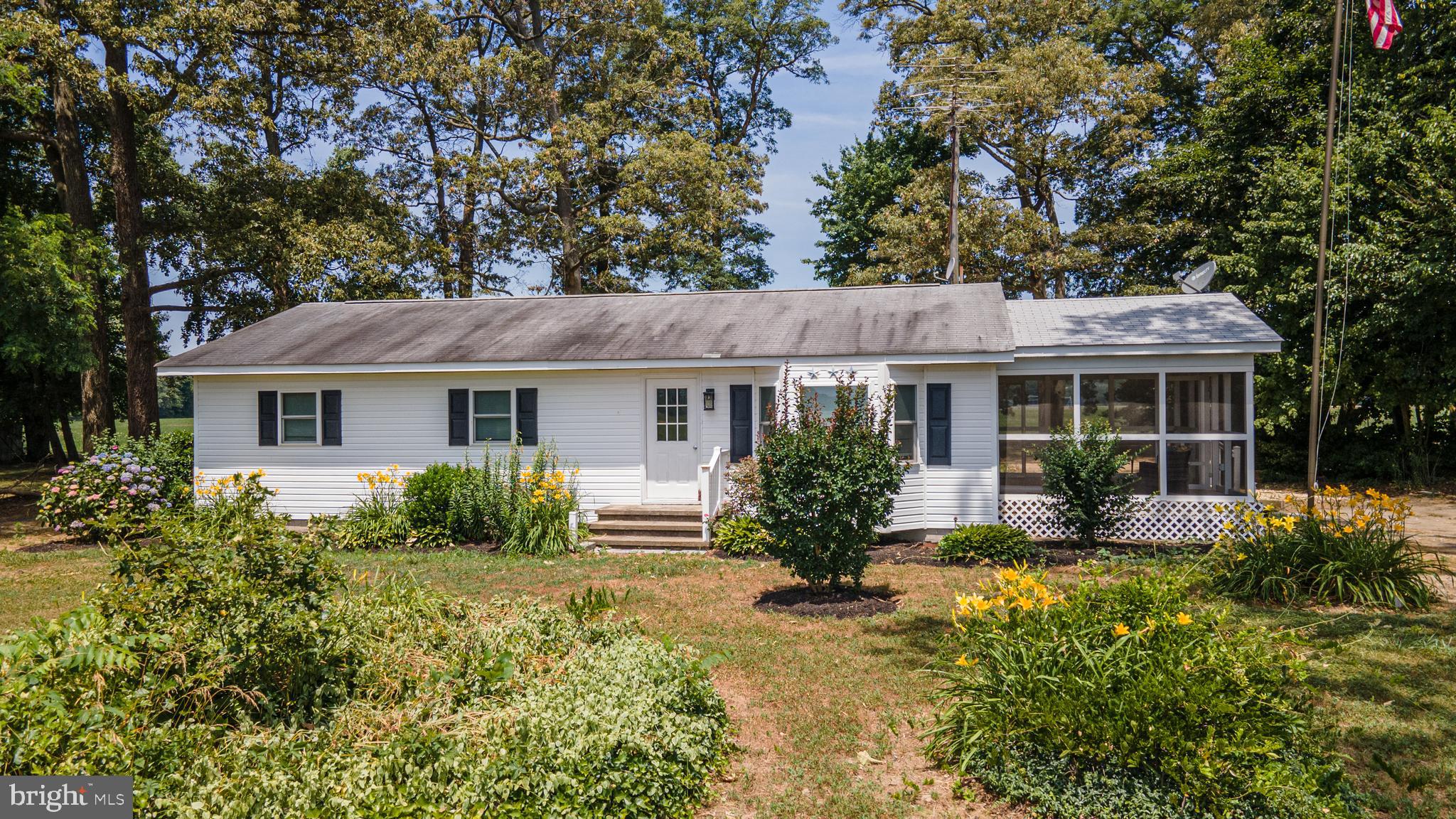 Tina Brown, Real Estate Agent with Benson and Mangold Real Estate in Centreville, MD