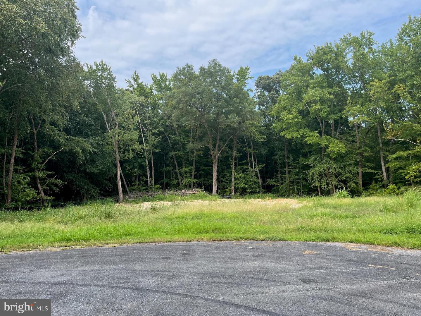Tina Brown, Real Estate Agent with Benson and Mangold Real Estate in Centreville, MD (6)