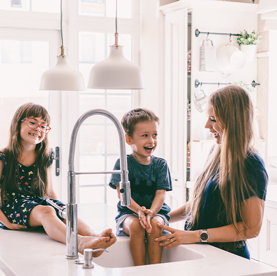 Family First Window & Pressure Cleaning in Palm Harbor, FL