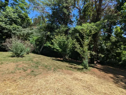 Levi Cox Realtor United Country Blue Ridge Land & Auction Real Estate in Floyd, VA (2)