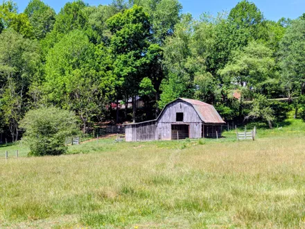 Levi Cox Realtor United Country Blue Ridge Land & Auction Real Estate in Floyd, VA (3)