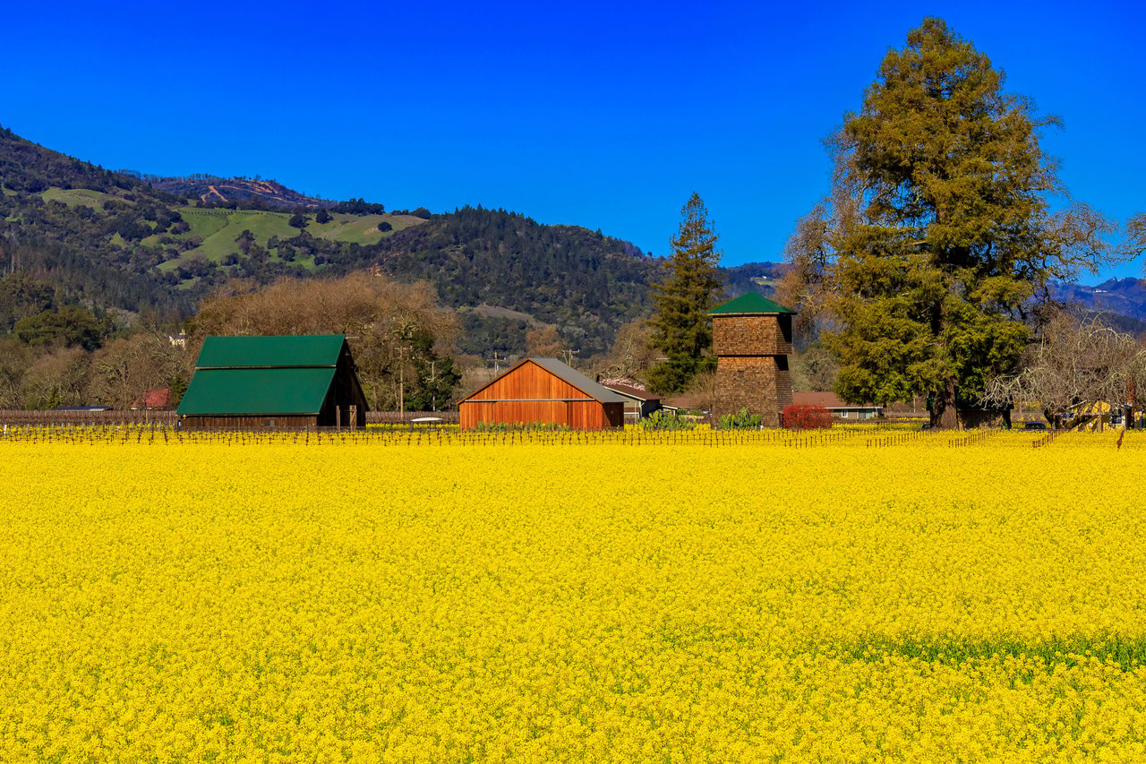Tracy Warr - Napa Valley Luxury Real Estate Specialist in Napa, CA (3)