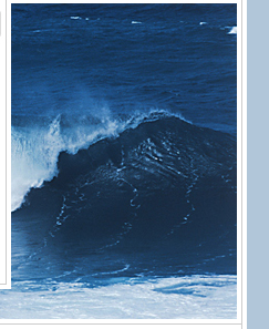 Coastal Homes Realty in Cypress, CA (2)