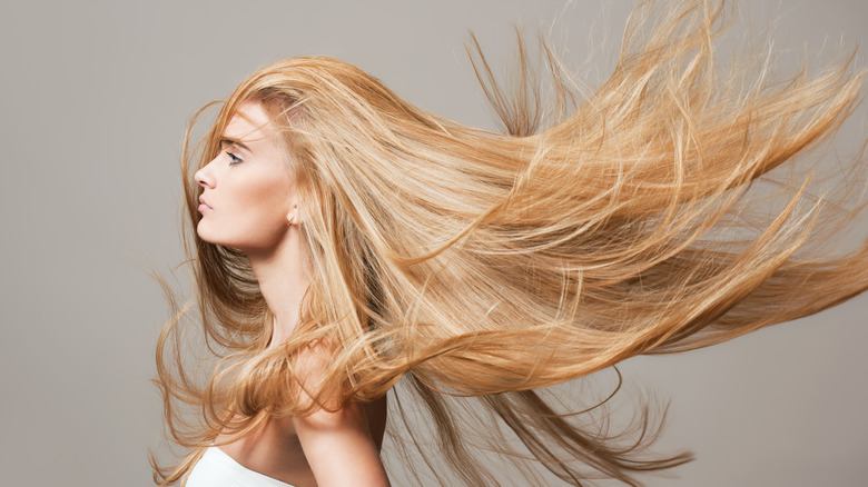 Silhouette Hair Studio in Bluffton, SC (3)