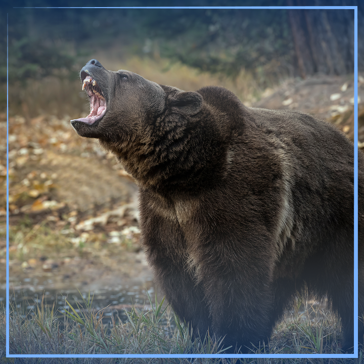 Texas Grizzly Law Firm in Denton, TX (6)