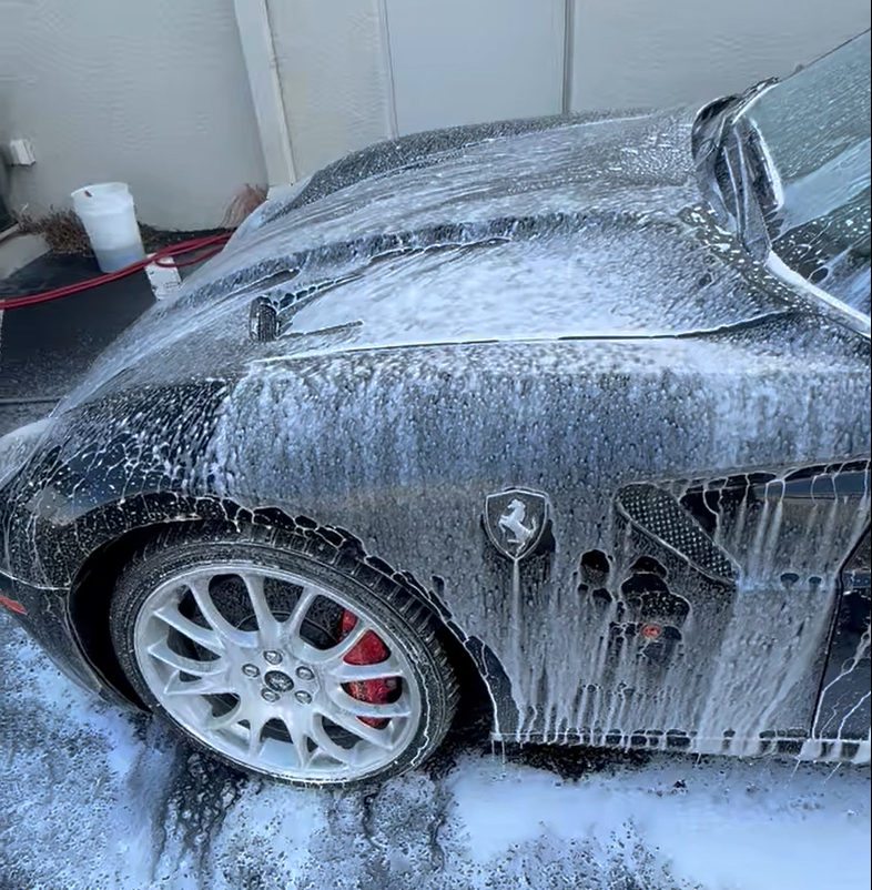 My Detail Guy, Inc. in Bradenton, FL