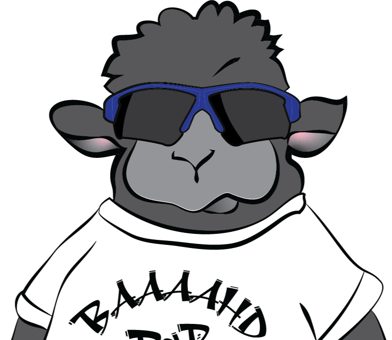 Black Sheep Ranch Creative Solutions, LLC in Cicero, IN (2)