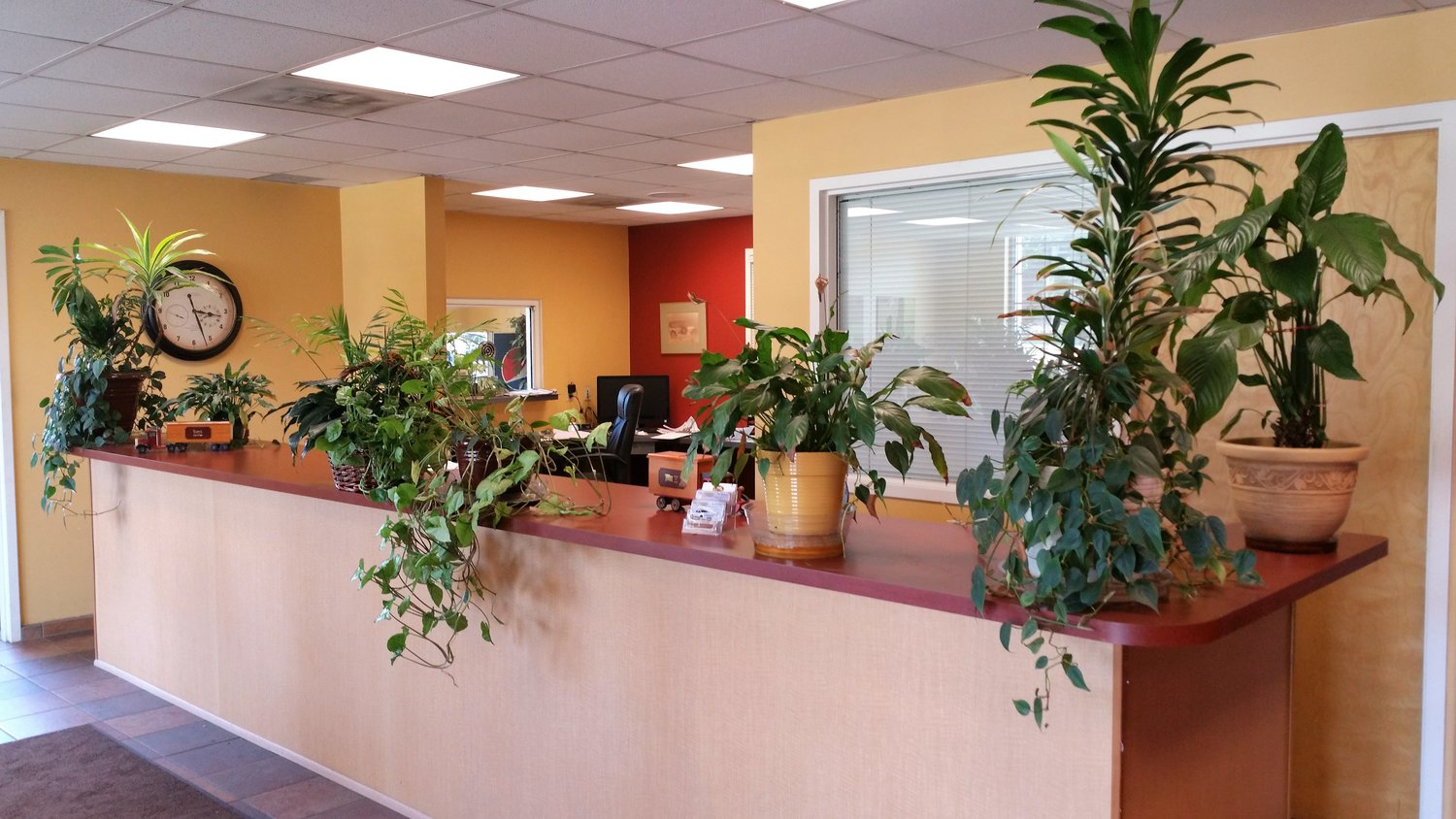 Town Center Automotive in Wickliffe, OH (4)