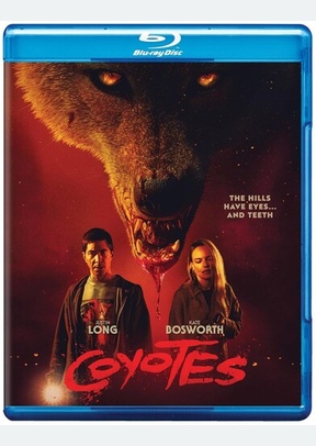 Movie Trading Company in Denton, TX (6)