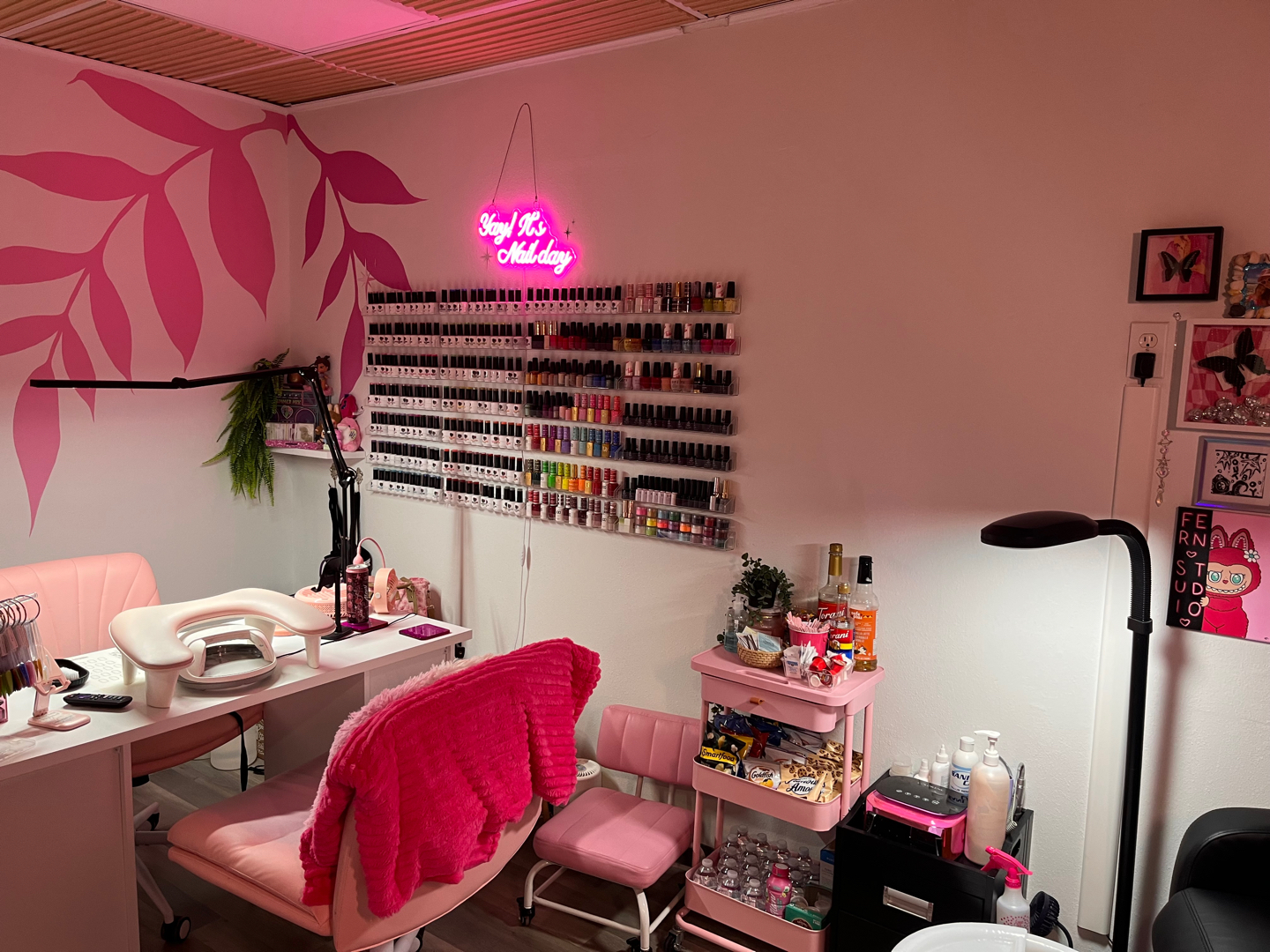 Fern Studio in Sanford, FL (2)