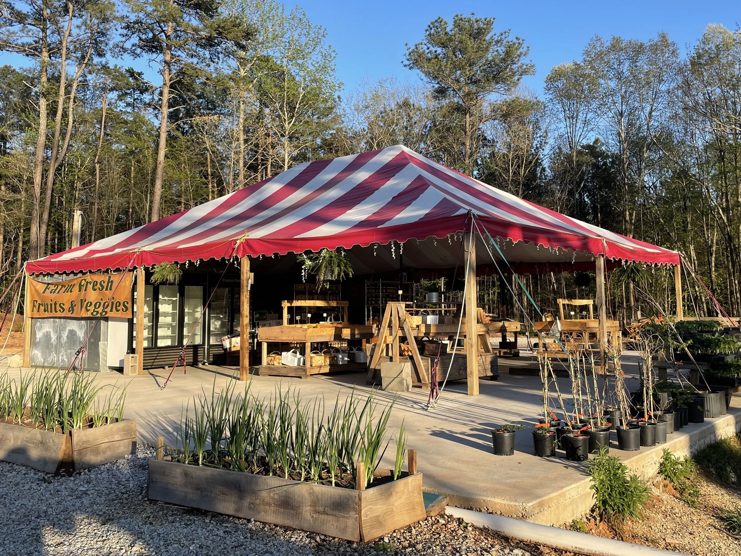 Atlanta Harvest in Ellenwood, GA (2)