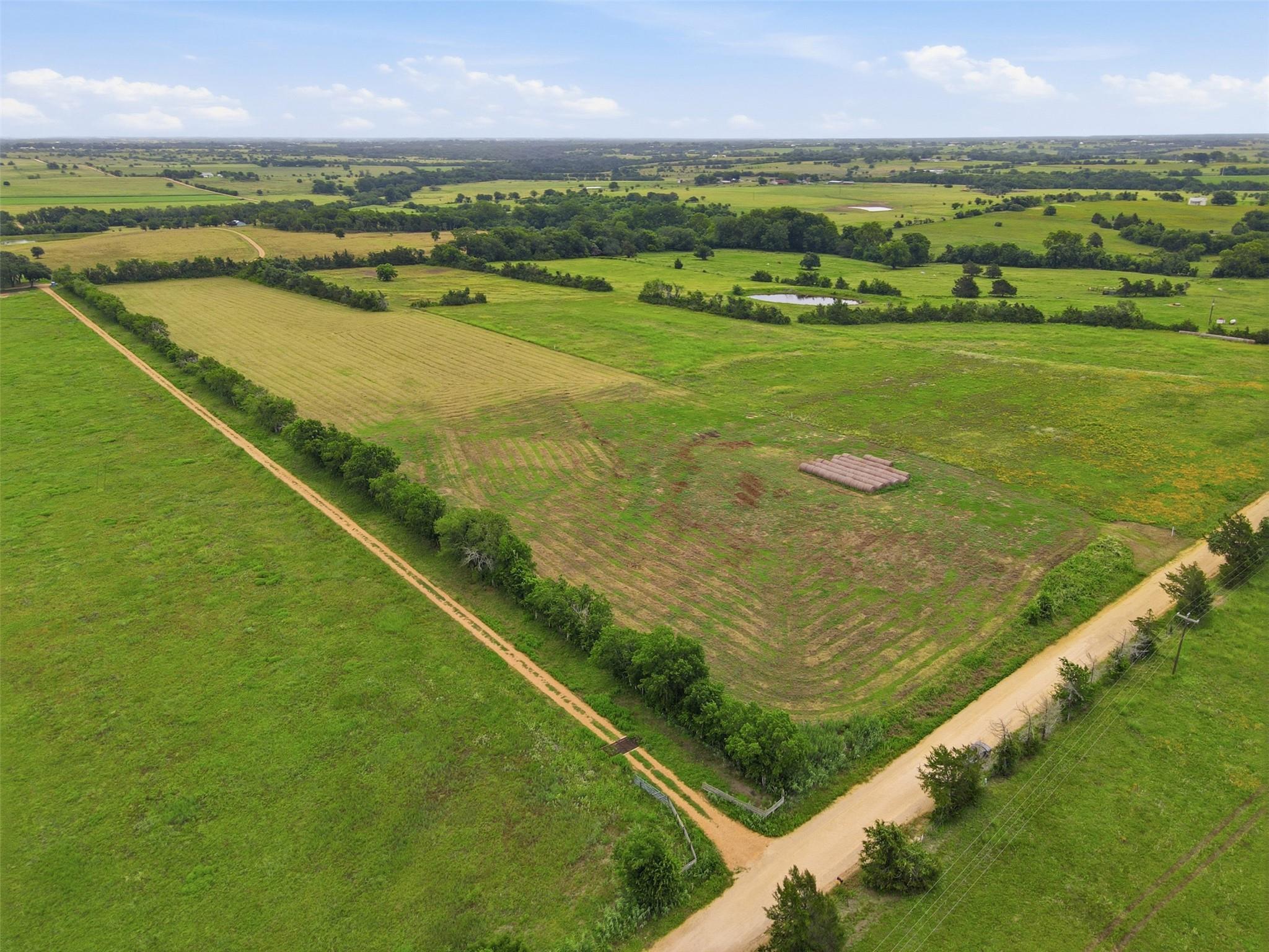 Lauren M Cox Realtor - Landmark Properties in Brenham, TX (2)