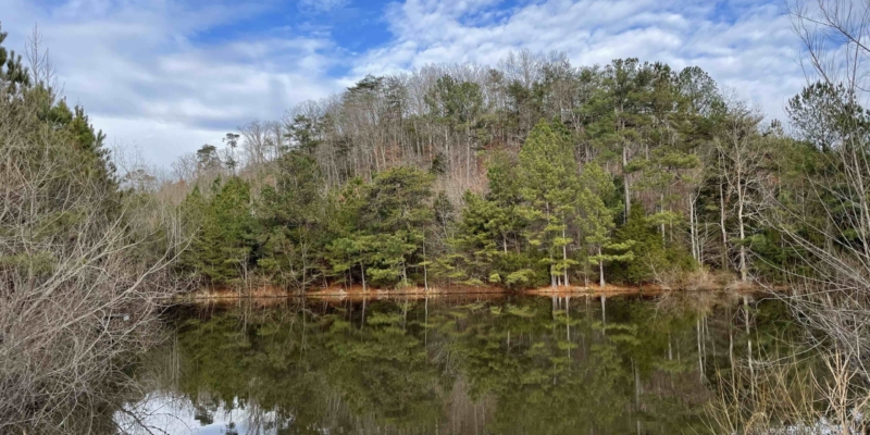 George F Willis Realty in Cartersville, GA (6)