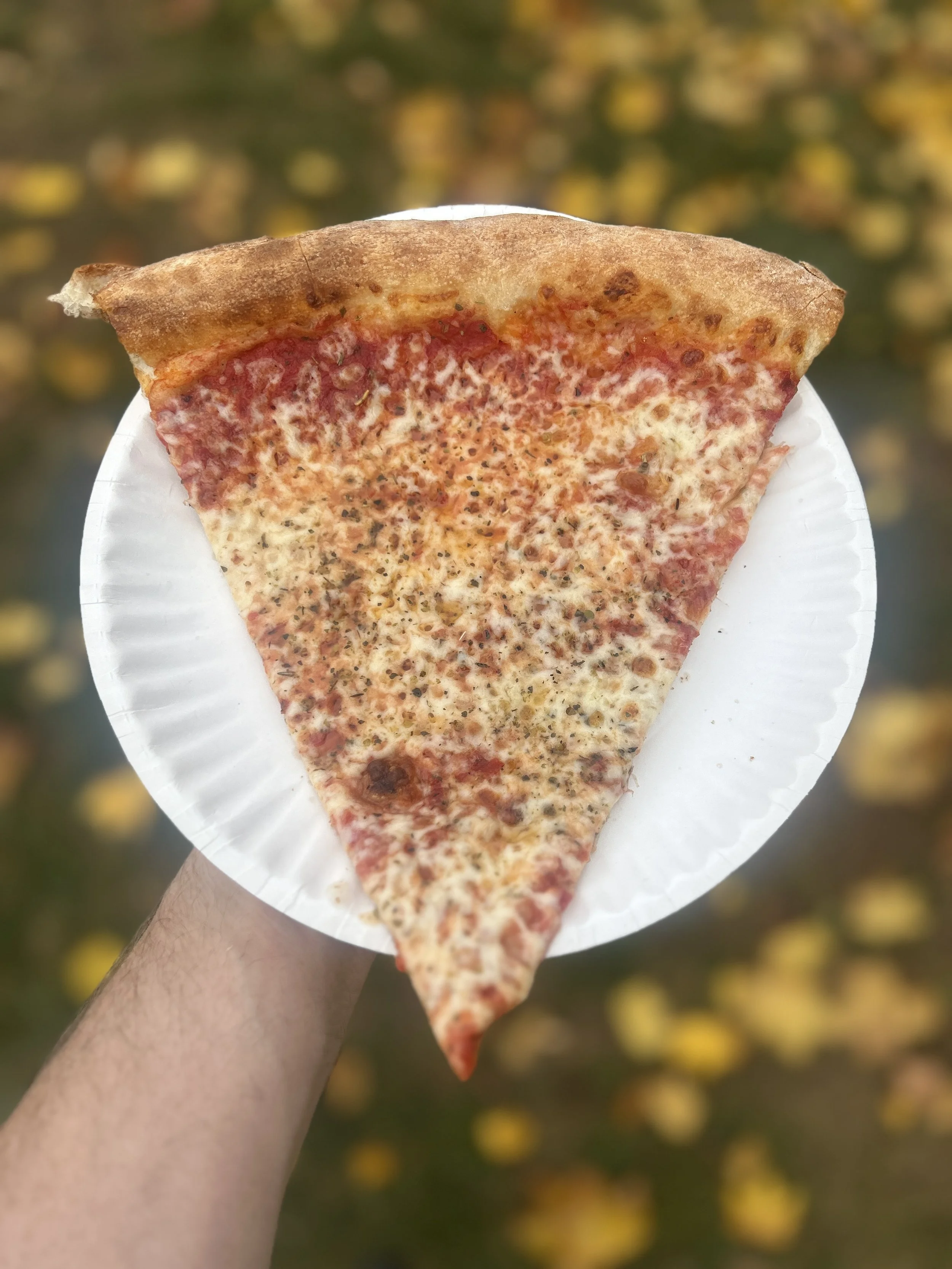 The Slice Shack (duplicate) in South Lake Tahoe, CA (6)