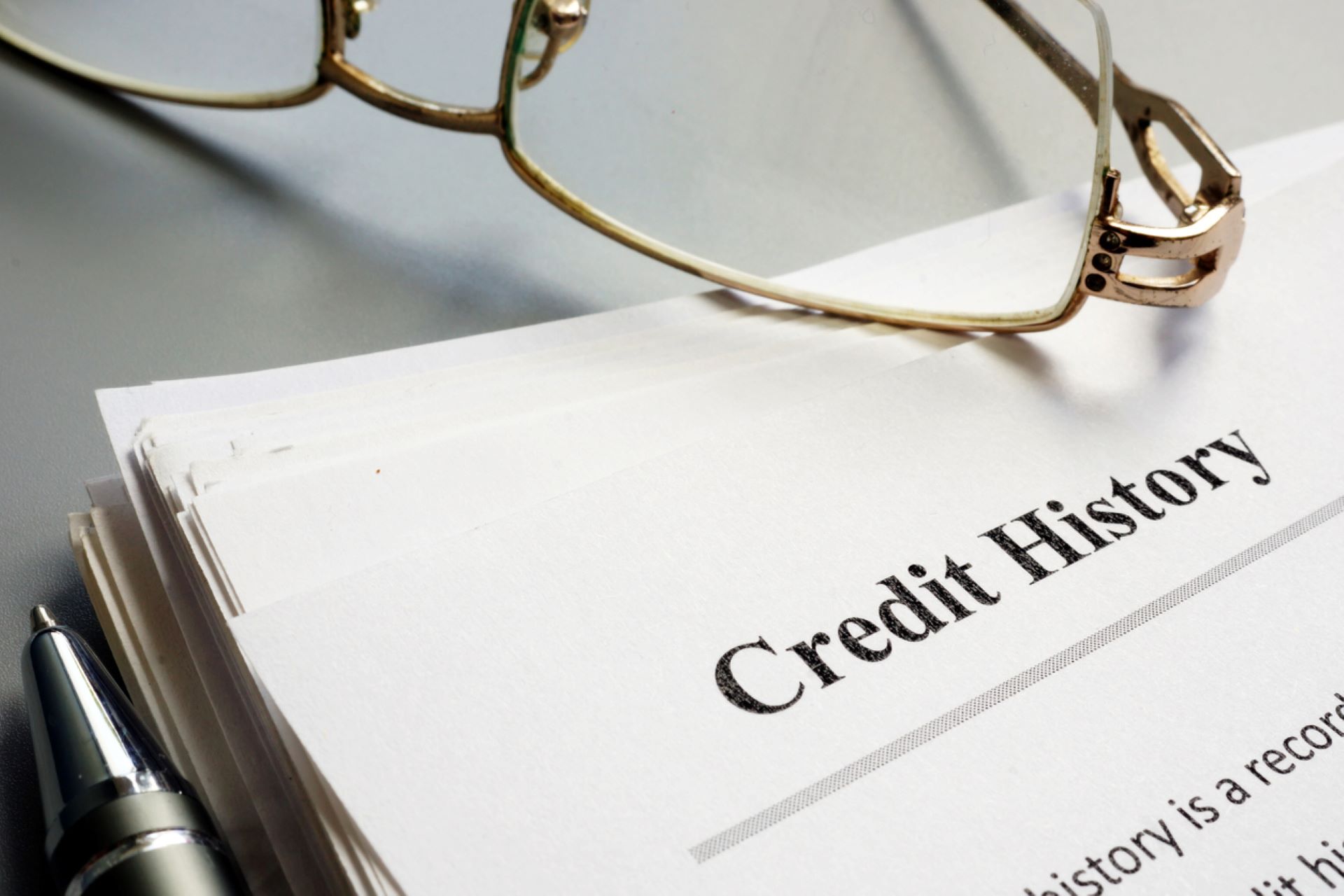 Suzanne Begnoche, Attorney at Law in Chapel Hill, NC (2)