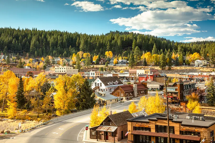 Carmen Carr, Engel & Volkers Truckee Real Estate in Truckee, CA (3)