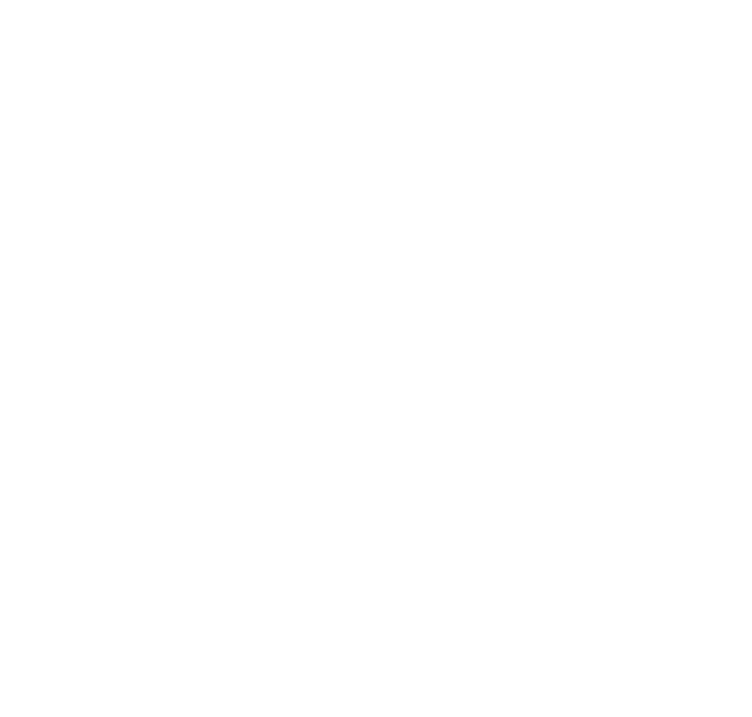 Mary Lane Sloan, The ART of Real Estate in Columbia, SC (3)