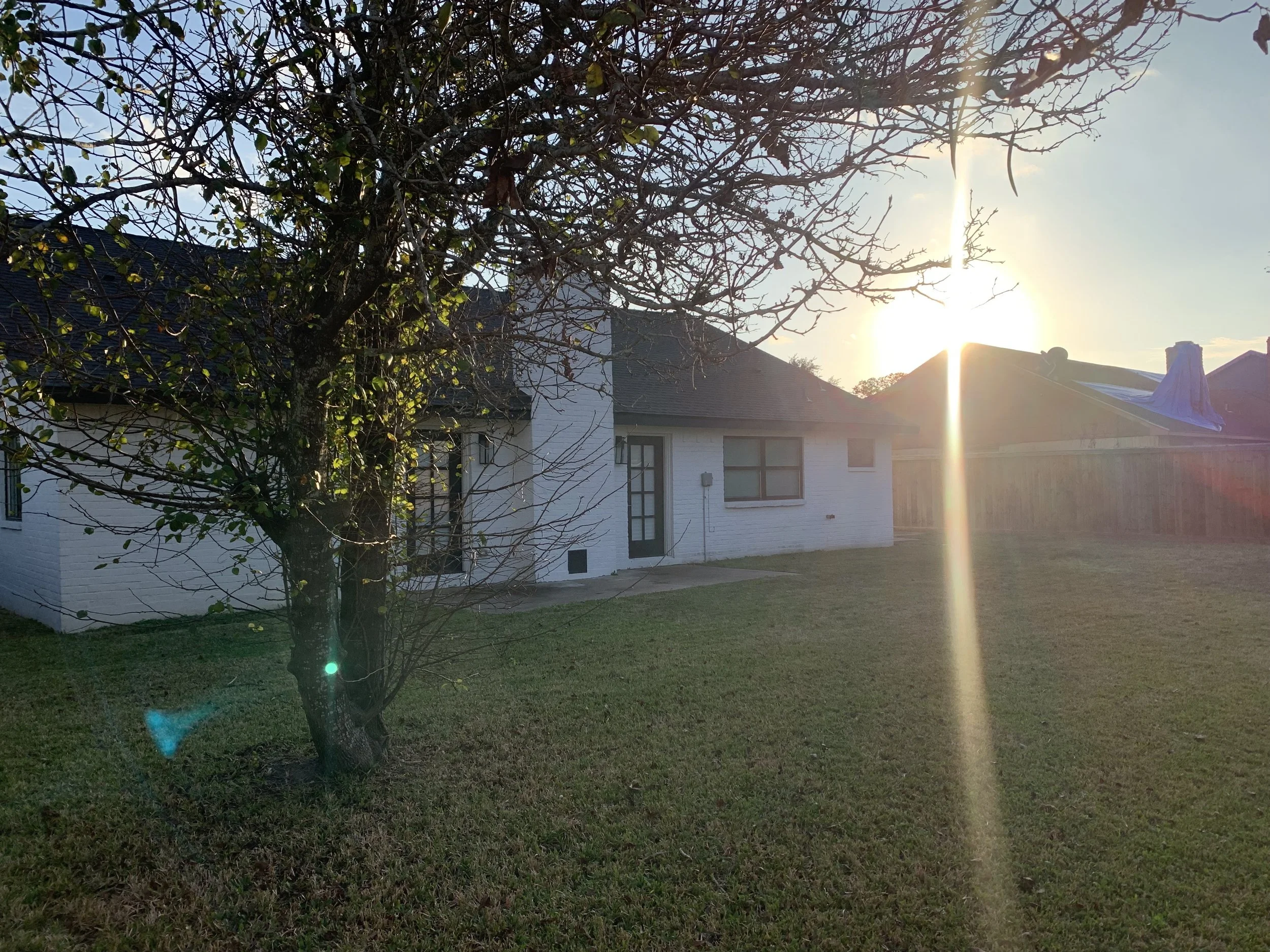 ReedMow in Missouri City, TX (2)