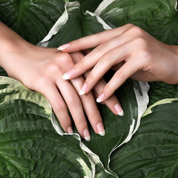 Luv Nails in La Grange, IL (2)