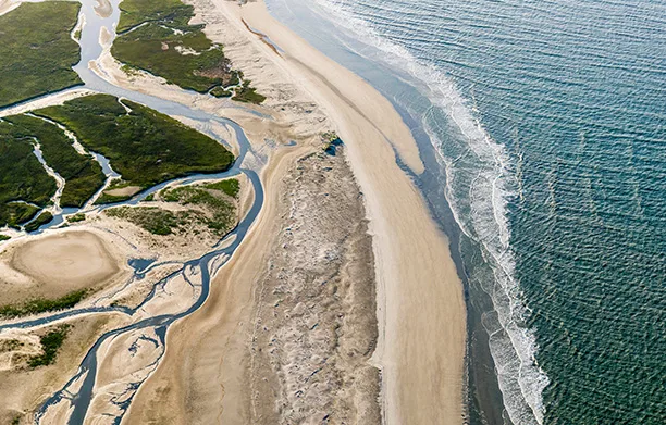 Christian Hartsel - Kiawah Island Real Estate in Kiawah Island, SC