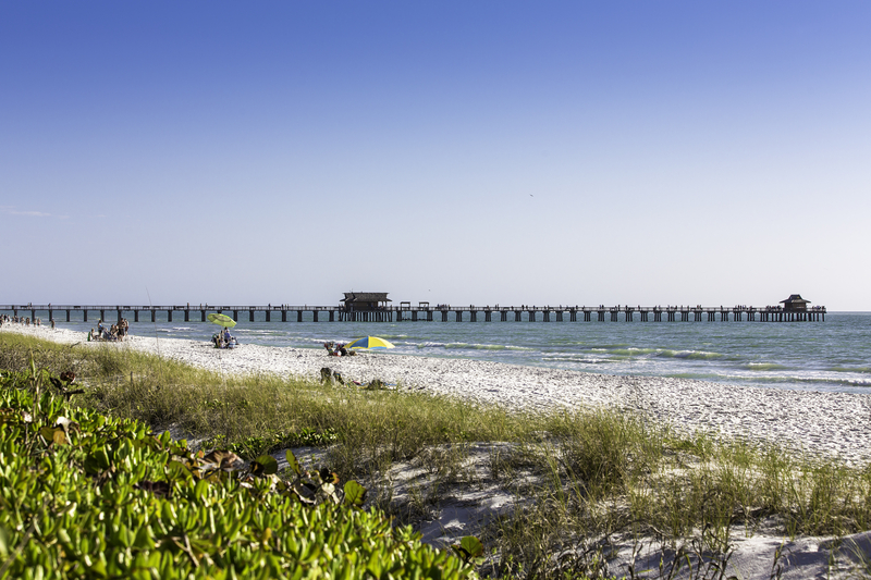 Raquel Ells - FL REALTOR® in Pompano Beach, FL (3)